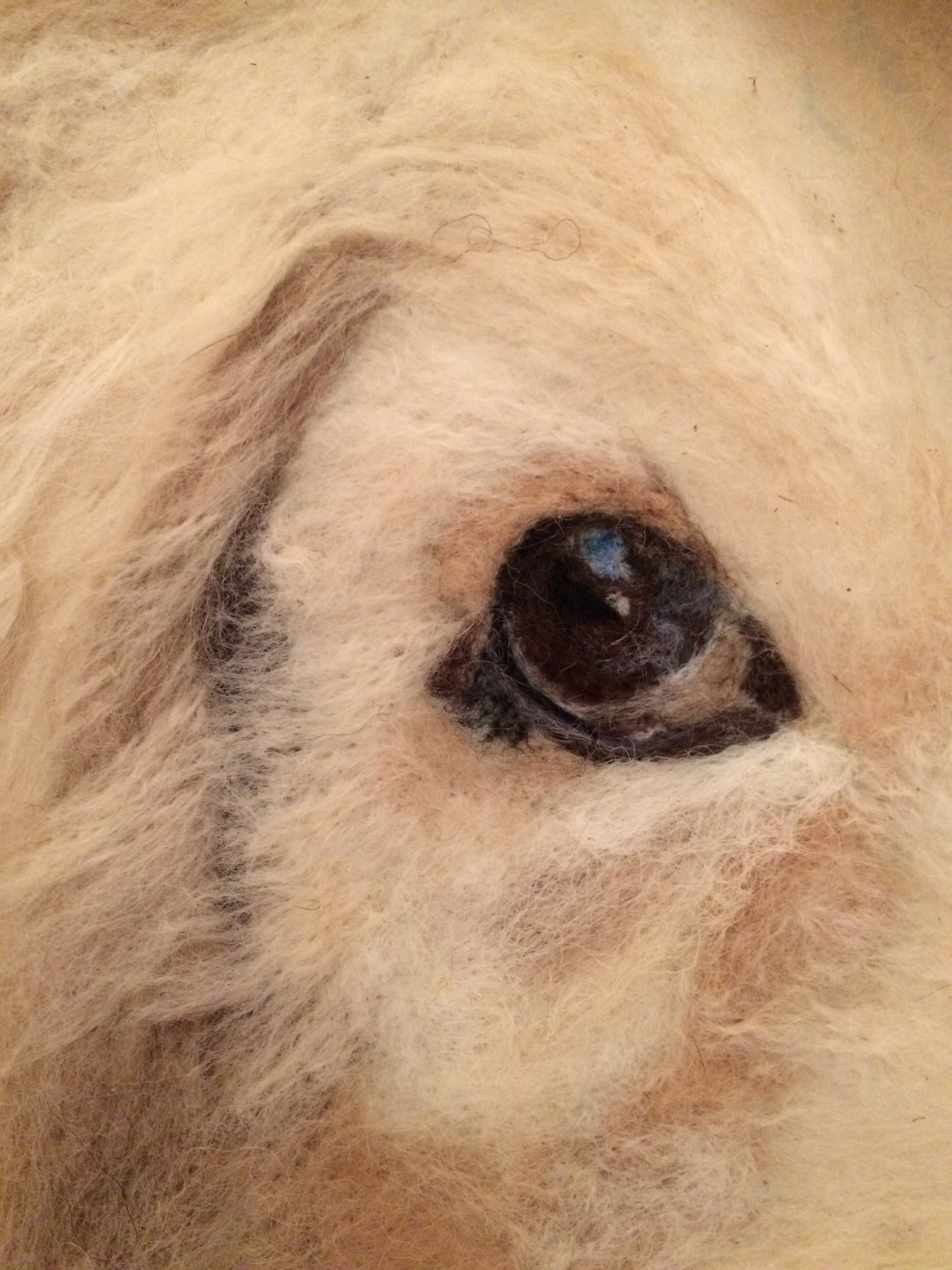 Custom Pet Portraits